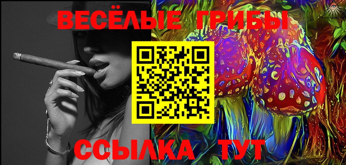 Псилоцибиновые грибы мицелий Прохладный